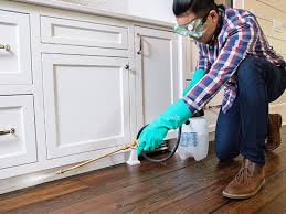 Real Estate Pest Inspections in Hastings, PA